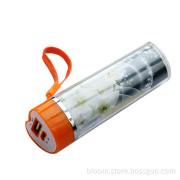 Low Cost USB Power Bank, 2,600mAh, Assorted Color, Wholesale PriceNew